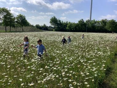 Børn på blomstermark
